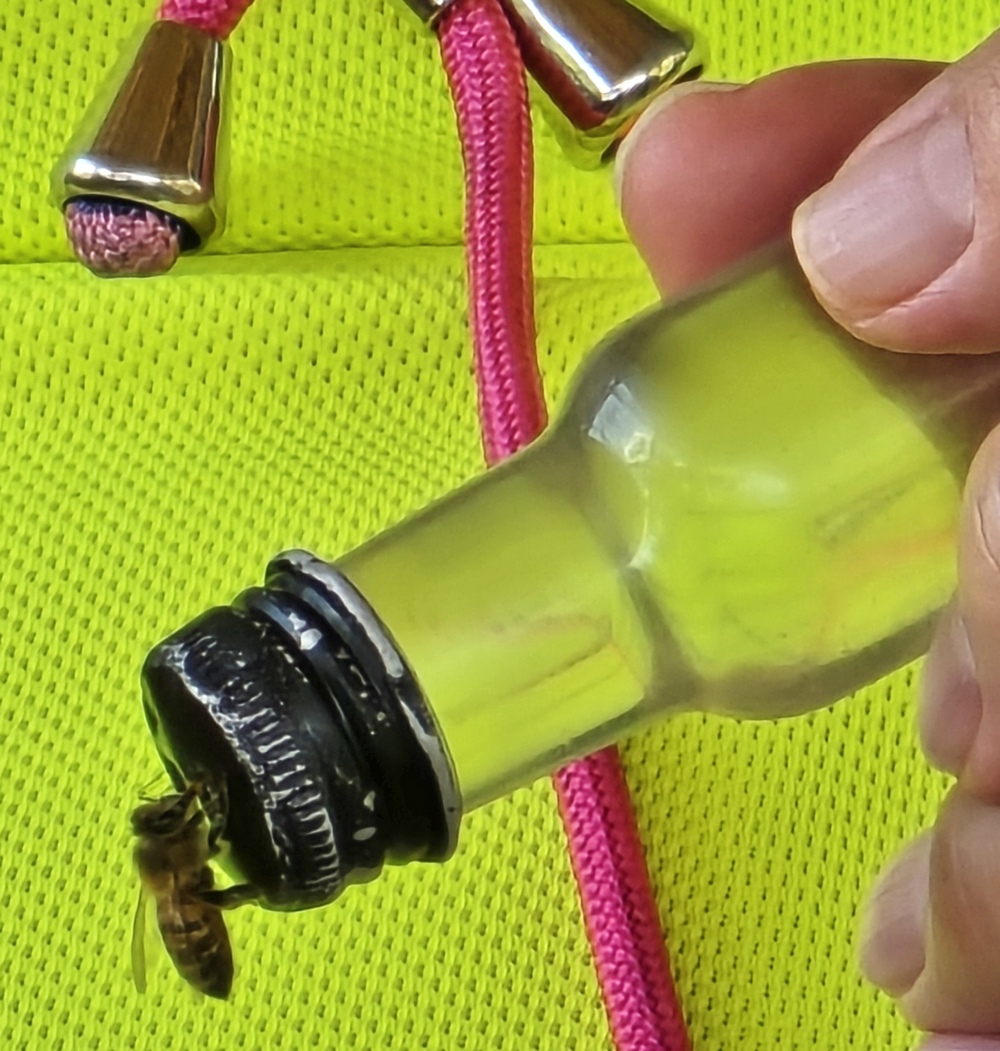 2026-04-11-D Montego Bay 20260411_111507_ji.jpg